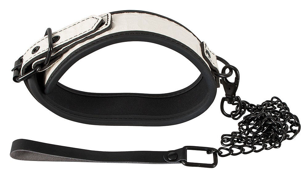 Bad Kitty Leash and Collar