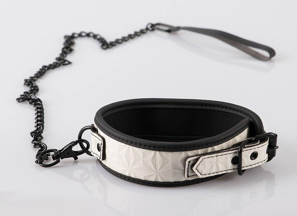 Bad Kitty Leash and Collar