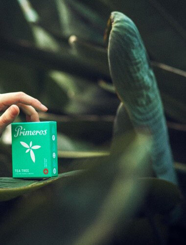 Aromatické kondomy Primeros Tea Tree 12ks