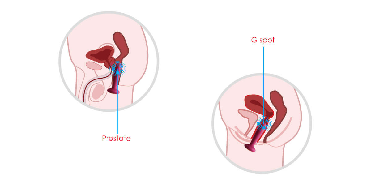 SVAKOM Primo, vibrátor na prostatu a G-bod  | ErosStar.cz