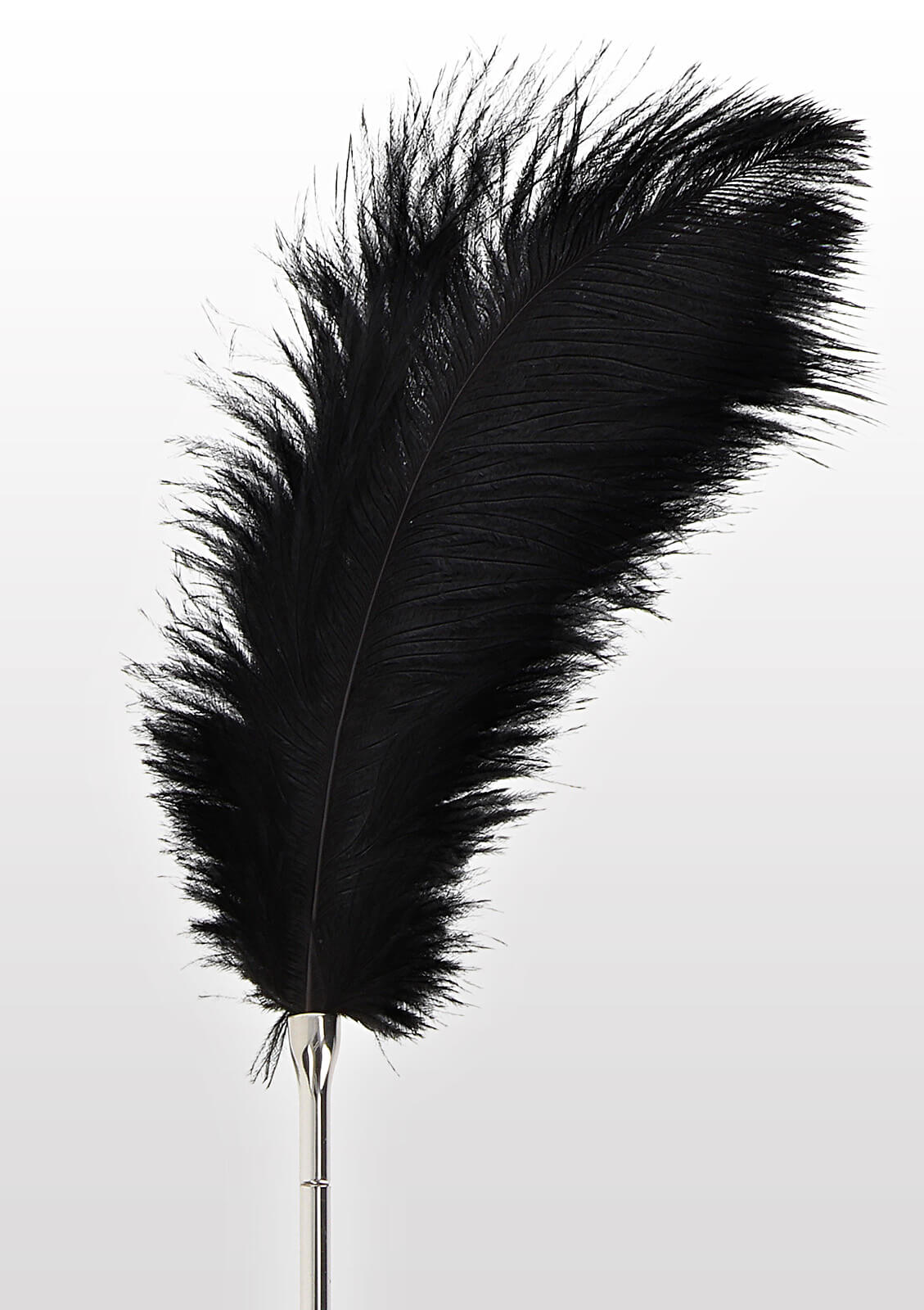 TABOOM Essentials Feather Tickler (Black), velké šimrací peříčko 