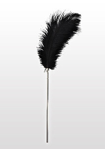 TABOOM Essentials Feather Tickler (Black), velké šimrací peříčko 