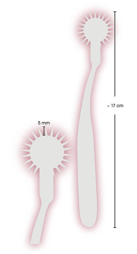 Nervenrad Wartenberg Wheel