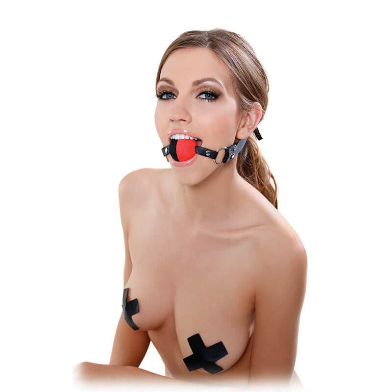 Two Tone Ball Gag