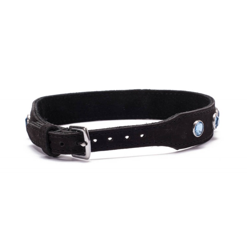 Octane Crystal Collar - Light Blue